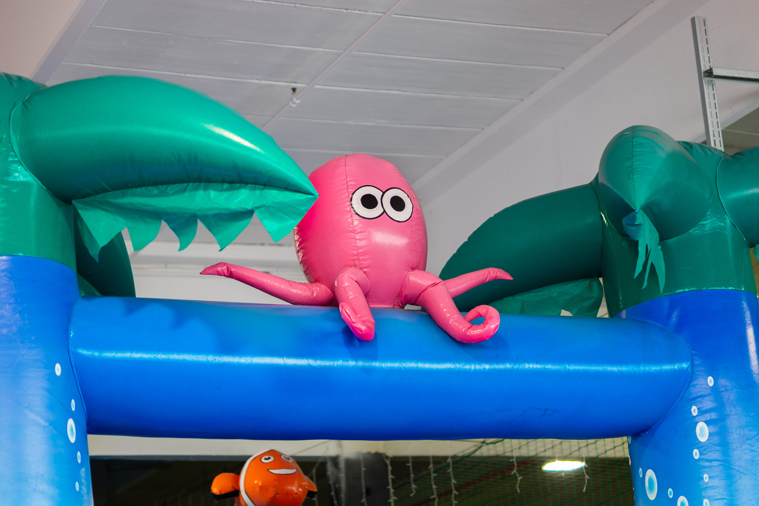 30 Wasserwelt Hüpfburg